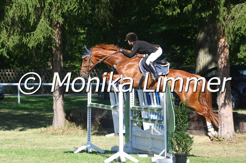 308M2790_Stil Mx_Stechen.JPG